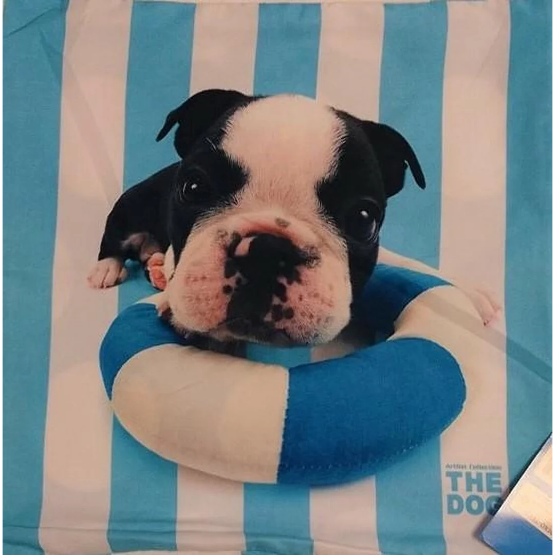 Poszewka dziecięca 40x40 3D Pies piesek buldog paski grochy niebieska DOG 13MF 5950