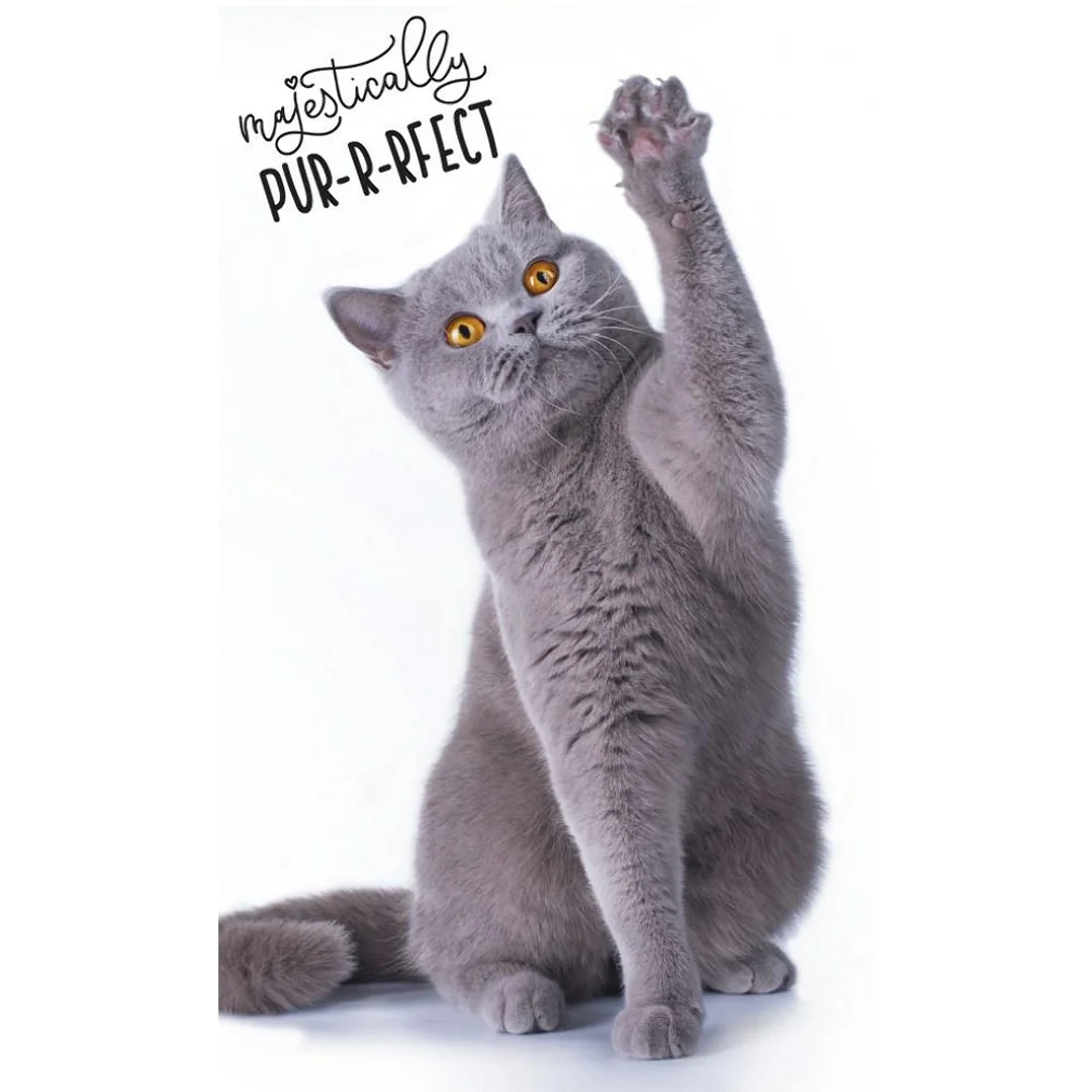 Ręczniczek do przedszkola 30x50 Cat bengalski kot dziecięcy Babies