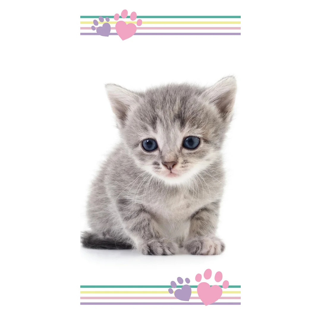 Ręcznik plażowy 70x140 Kot koteczek szary Kitten colour 8834