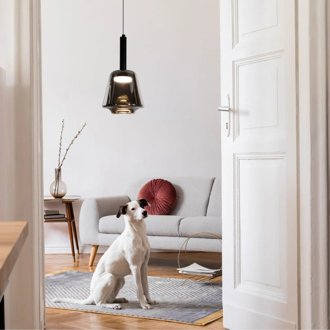 BUENO lampa wisząca czarny 1x9W GX53 klosz bezbarwny+dymiony — zdjęcie 5